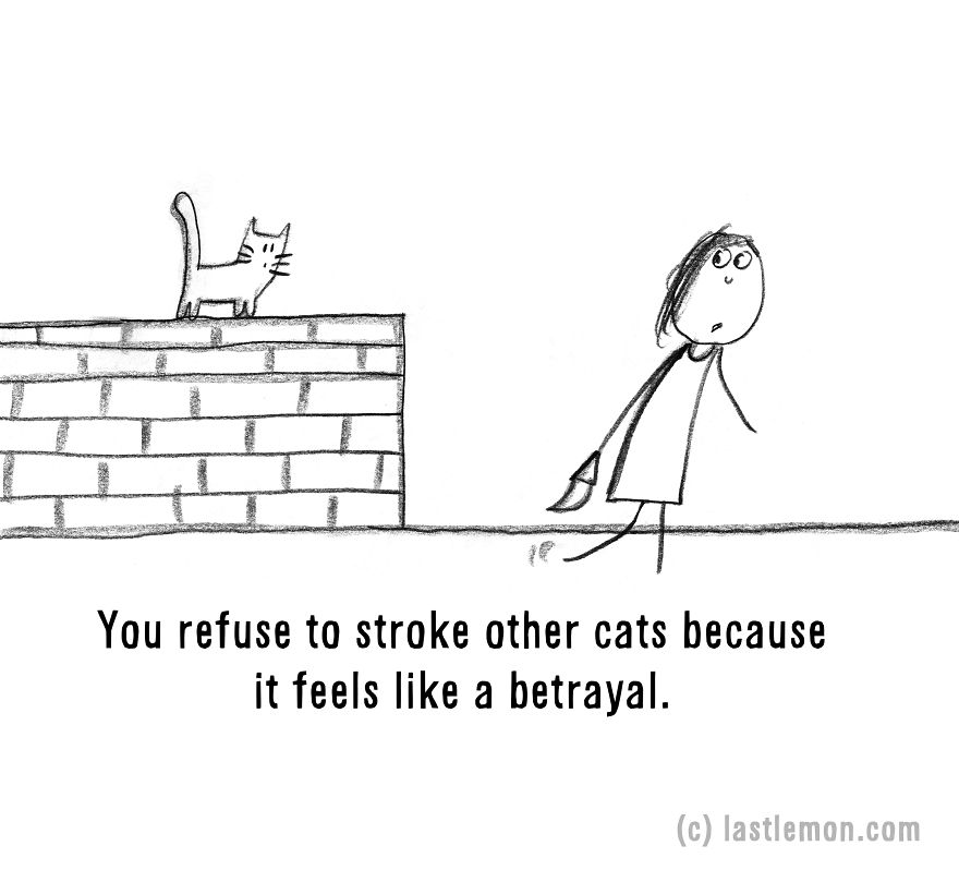 20 Signs That You&#8217;re A Crazy Cat Parent