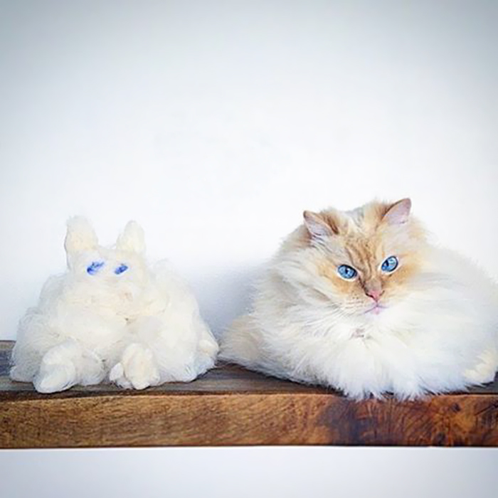 This Cat’s Majestic Fluff Makes It Look Like A Cloud This Cat’s Majestic Fluff Makes It Look Like A Cloud