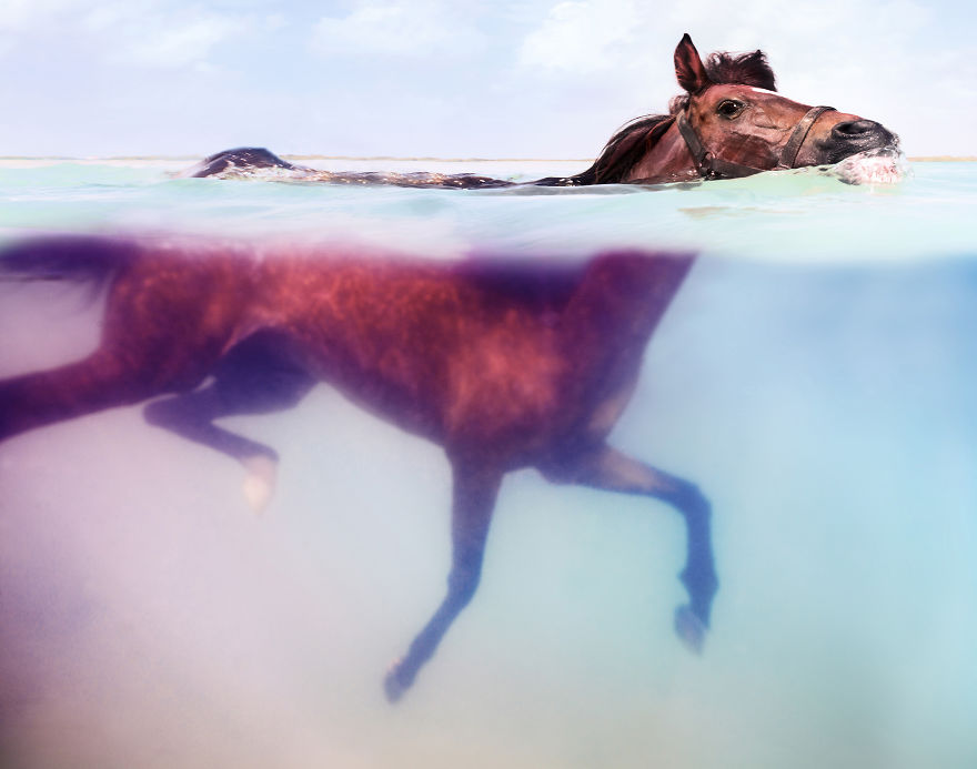 I Travelled To Bonaire Island And Photographed Local Children Underwater