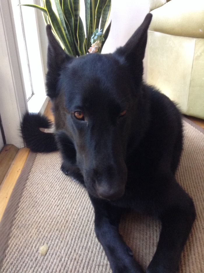 106 Engineers Who Totally Fixed Things 106 Engineers Who Totally Fixed Things