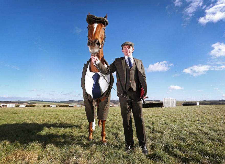 Horse Gets Tailored Three-Piece Suit, Looks Absolutely Dashing