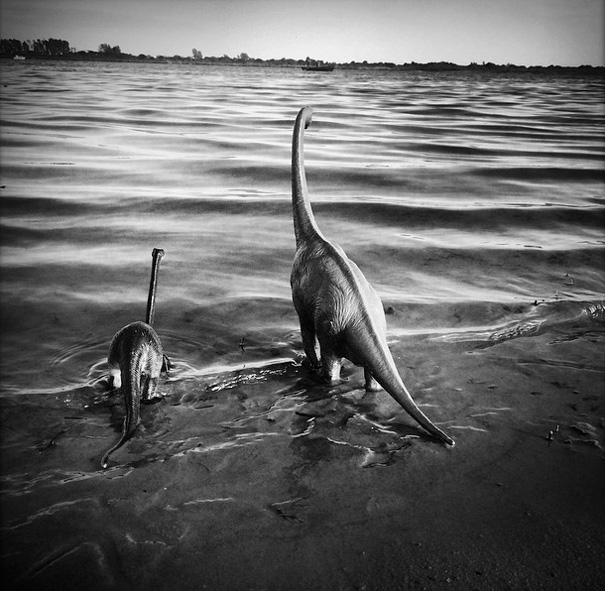 Travel Photos Are Instantly Better With Dinosaur Toys Travel Photos Are Instantly Better With Dinosaur Toys