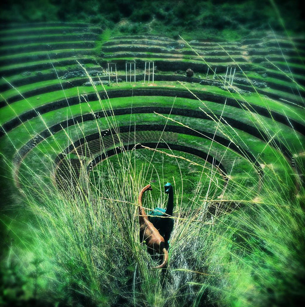 Travel Photos Are Instantly Better With Dinosaur Toys Travel Photos Are Instantly Better With Dinosaur Toys