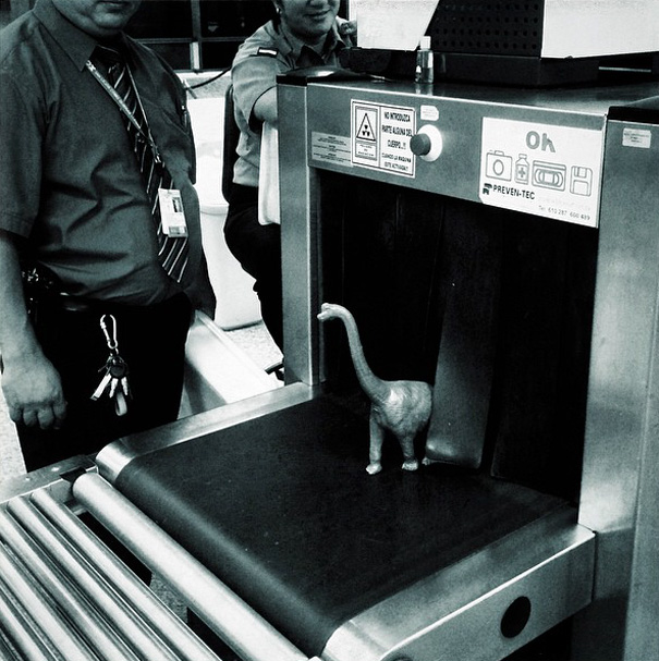 Travel Photos Are Instantly Better With Dinosaur Toys Travel Photos Are Instantly Better With Dinosaur Toys