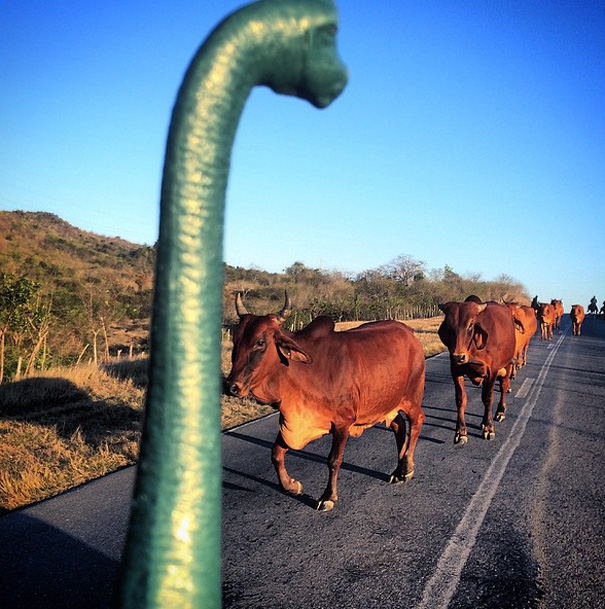 Travel Photos Are Instantly Better With Dinosaur Toys Travel Photos Are Instantly Better With Dinosaur Toys