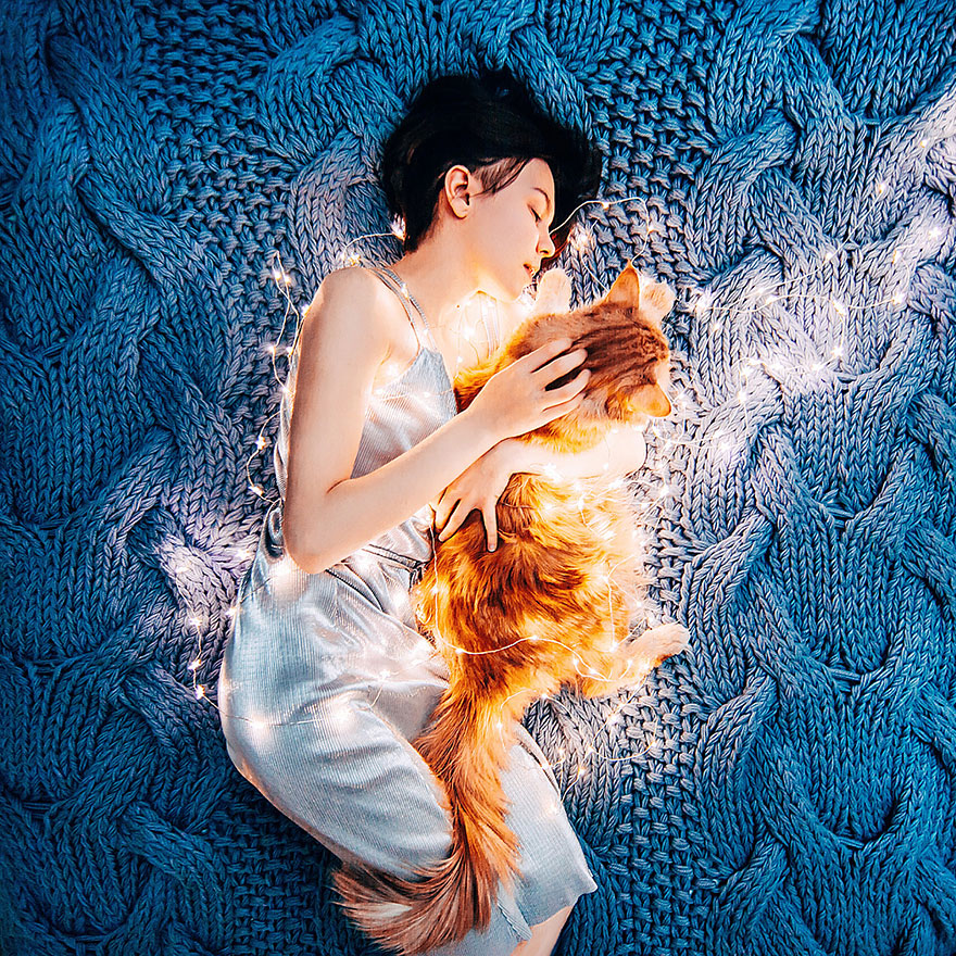 Cutlet The Ginger Cat Is So Majestic He Even Has His Own Hoomin Photographer