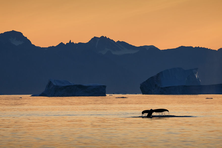 The Icebergs Of Disko Bay That I Captured From A Russian Yacht Near Greenland The Icebergs Of Disko Bay That I Captured From A Russian Yacht Near Greenland