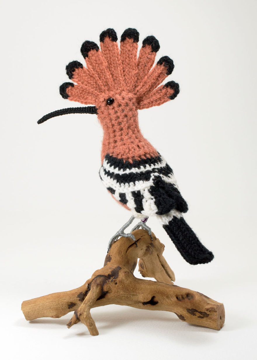 I Make Realistic Crocheted Birds Out Of Wool I Make Realistic Crocheted Birds Out Of Wool