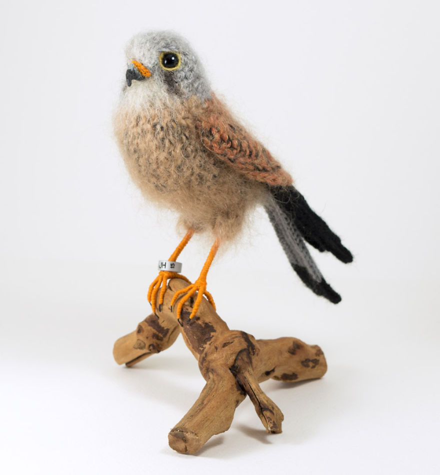I Make Realistic Crocheted Birds Out Of Wool I Make Realistic Crocheted Birds Out Of Wool