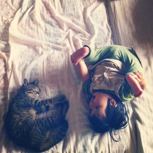 This Japanese Cat Is The Best Sleeping Buddy For His Baby Hoomins
