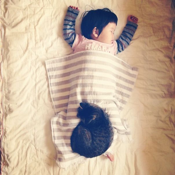 This Japanese Cat Is The Best Sleeping Buddy For His Baby Hoomins