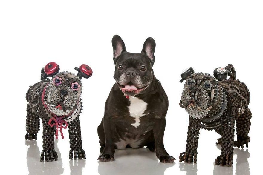 Unchained: I Create Dog Sculptures From Recycled Bicycle Chains