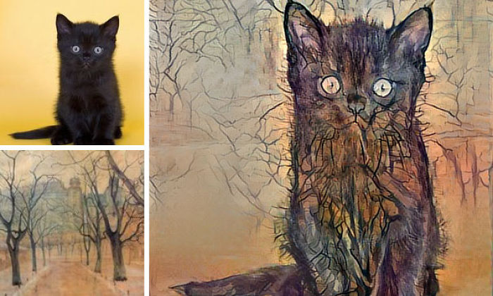 Man Combines Random People’s Photos Using Neural Networks And The Results Are Amazing Man Combines Random People’s Photos Using Neural Networks And The Results Are Amazing