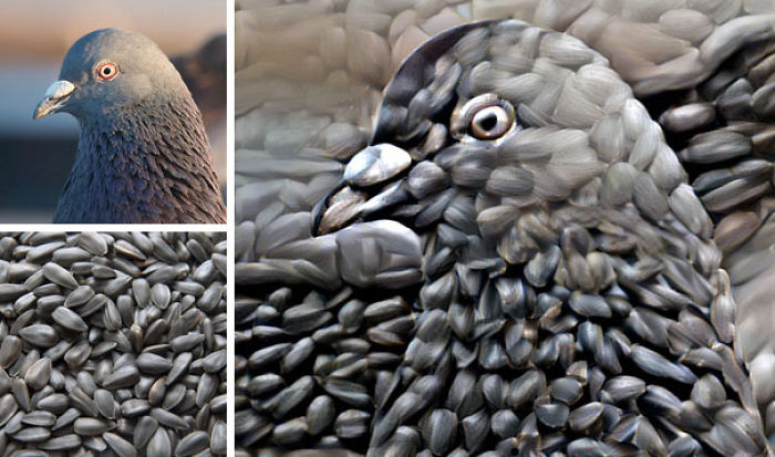 Man Combines Random People’s Photos Using Neural Networks And The Results Are Amazing Man Combines Random People’s Photos Using Neural Networks And The Results Are Amazing