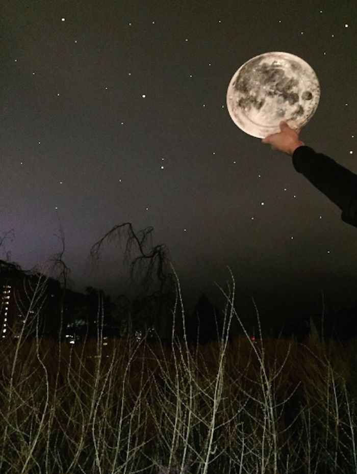 Travelling Without Moving: The Crazy Plate Lady’s Guide To Daydreaming Travelling Without Moving: The Crazy Plate Lady’s Guide To Daydreaming