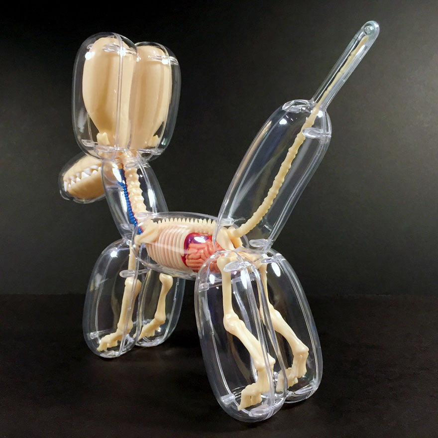 Anatomical Animal Balloons By Jason Freeny Anatomical Animal Balloons By Jason Freeny