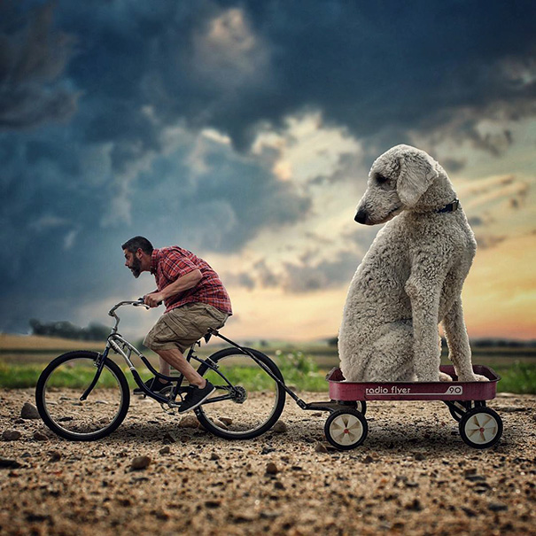 Photographer Photoshops His Dog Into A Giant Photographer Photoshops His Dog Into A Giant