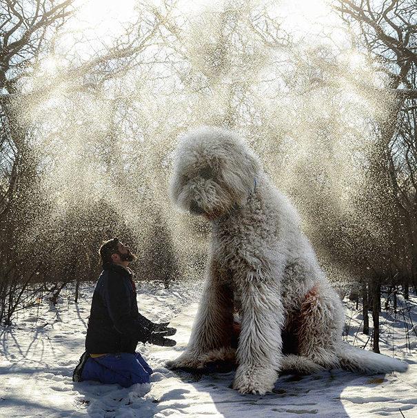 Photographer Photoshops His Dog Into A Giant Photographer Photoshops His Dog Into A Giant