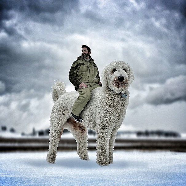 Photographer Photoshops His Dog Into A Giant Photographer Photoshops His Dog Into A Giant