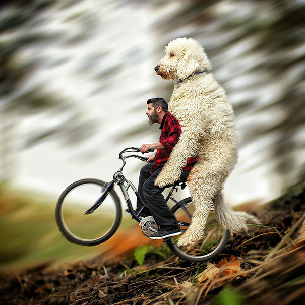 Photographer Photoshops His Dog Into A Giant Photographer Photoshops His Dog Into A Giant