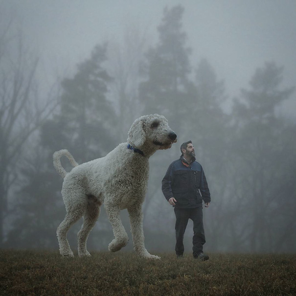 Photographer Photoshops His Dog Into A Giant Photographer Photoshops His Dog Into A Giant