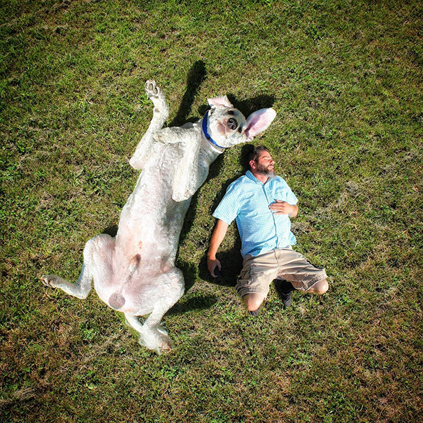 Photographer Photoshops His Dog Into A Giant Photographer Photoshops His Dog Into A Giant