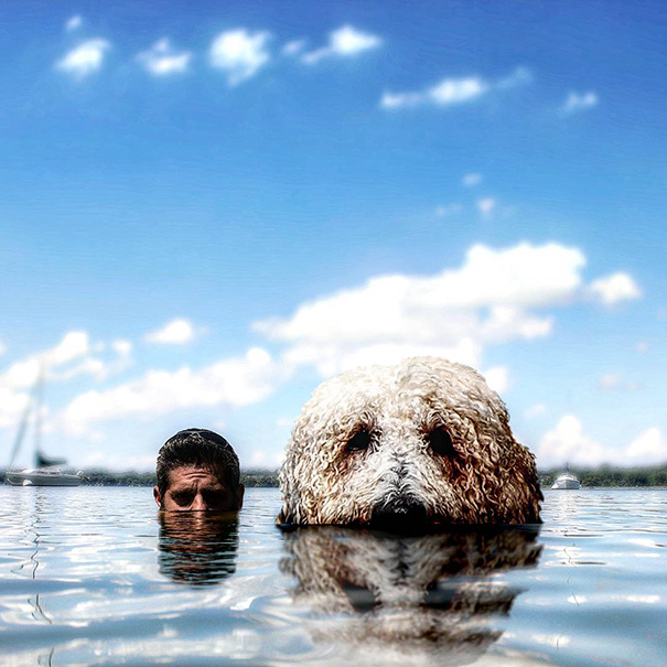 Photographer Photoshops His Dog Into A Giant Photographer Photoshops His Dog Into A Giant