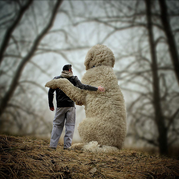 Photographer Photoshops His Dog Into A Giant Photographer Photoshops His Dog Into A Giant