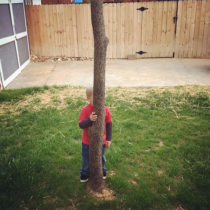 99 Kids Who Are The Masters Of Hide And Seek 99 Kids Who Are The Masters Of Hide And Seek