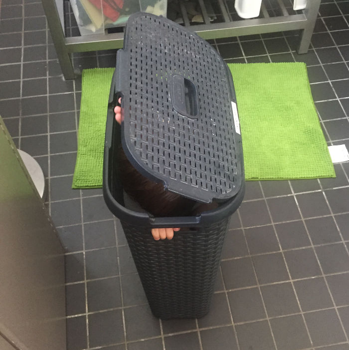 99 Kids Who Are The Masters Of Hide And Seek 99 Kids Who Are The Masters Of Hide And Seek