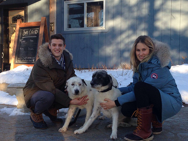 This Woman Couldn&#8217;t Decide Which Dog To Adopt So She Bought The Entire Shelter