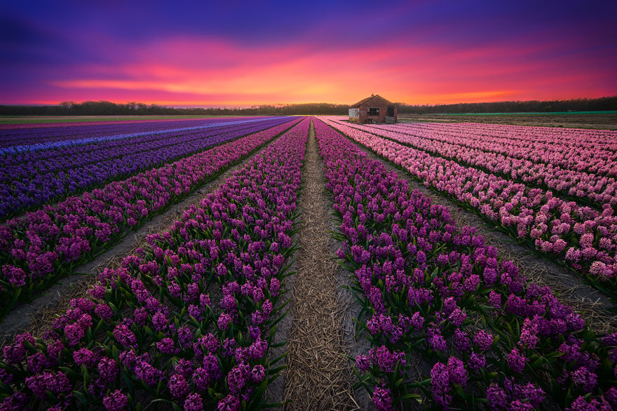 67 Reasons Why You Should Visit The Netherlands, My Homeland 67 Reasons Why You Should Visit The Netherlands, My Homeland