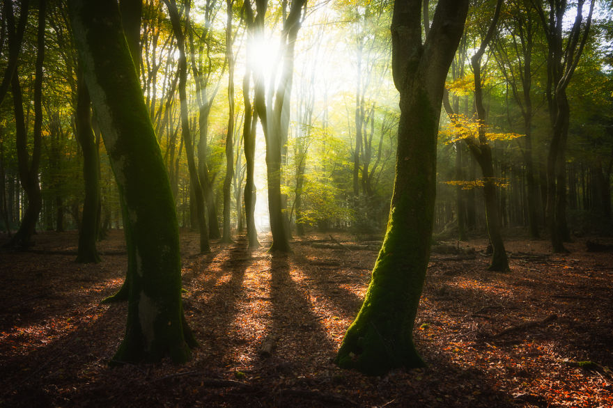 67 Reasons Why You Should Visit The Netherlands, My Homeland 67 Reasons Why You Should Visit The Netherlands, My Homeland