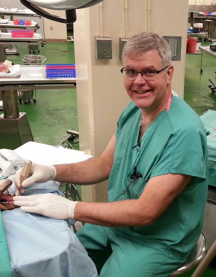 This Dog Couldn&#8217;t Close His Mouth, So He Got Braces
