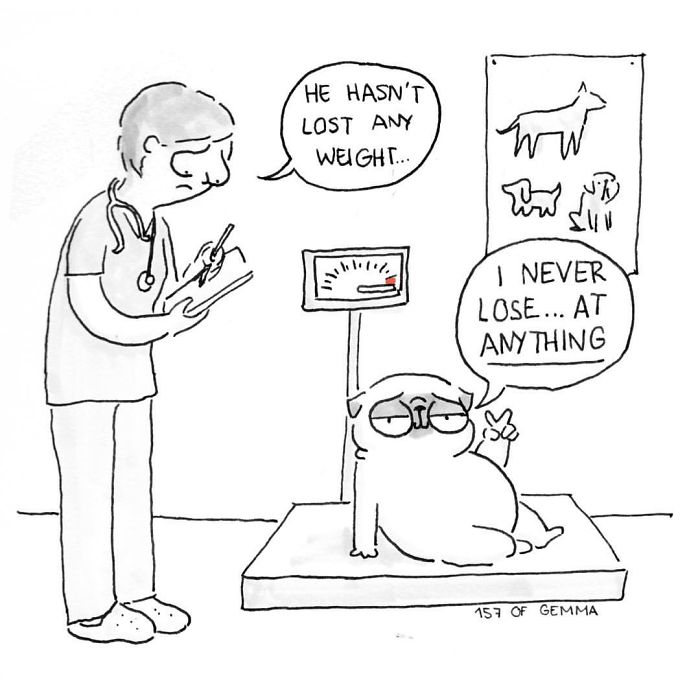 What It&#8217;s Like To Live With A Pug In 40 Pics