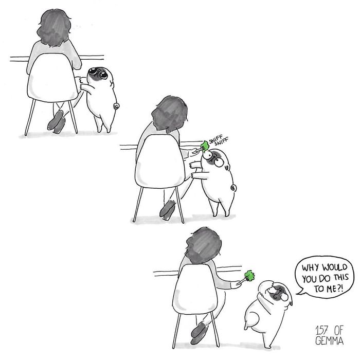 What It&#8217;s Like To Live With A Pug In 40 Pics