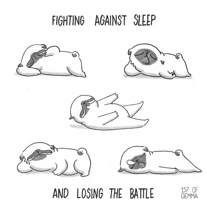 What It&#8217;s Like To Live With A Pug In 40 Pics