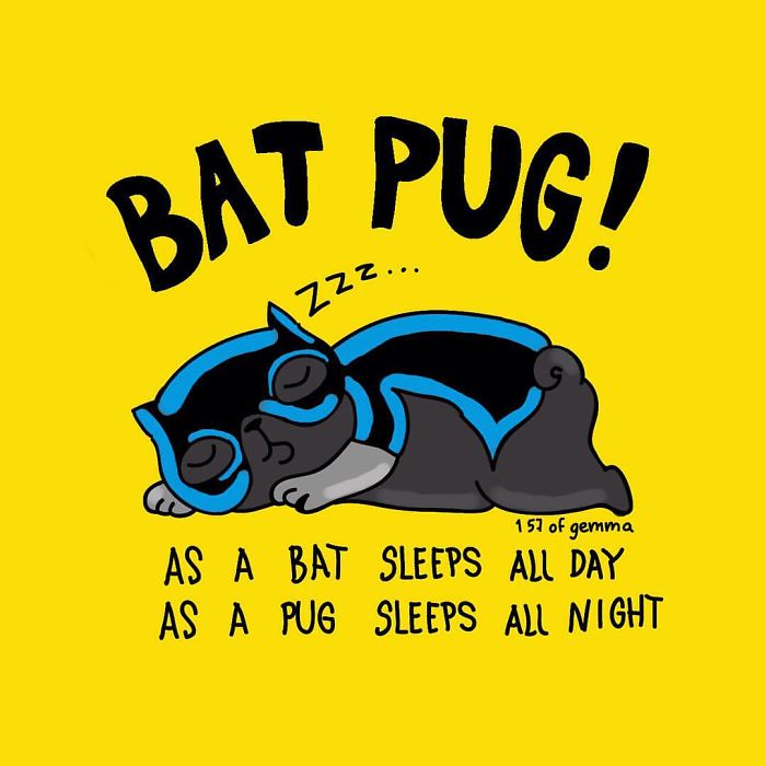 What It&#8217;s Like To Live With A Pug In 40 Pics