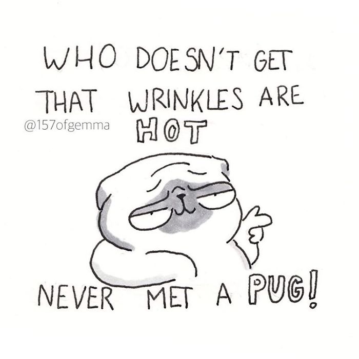 What It&#8217;s Like To Live With A Pug In 40 Pics