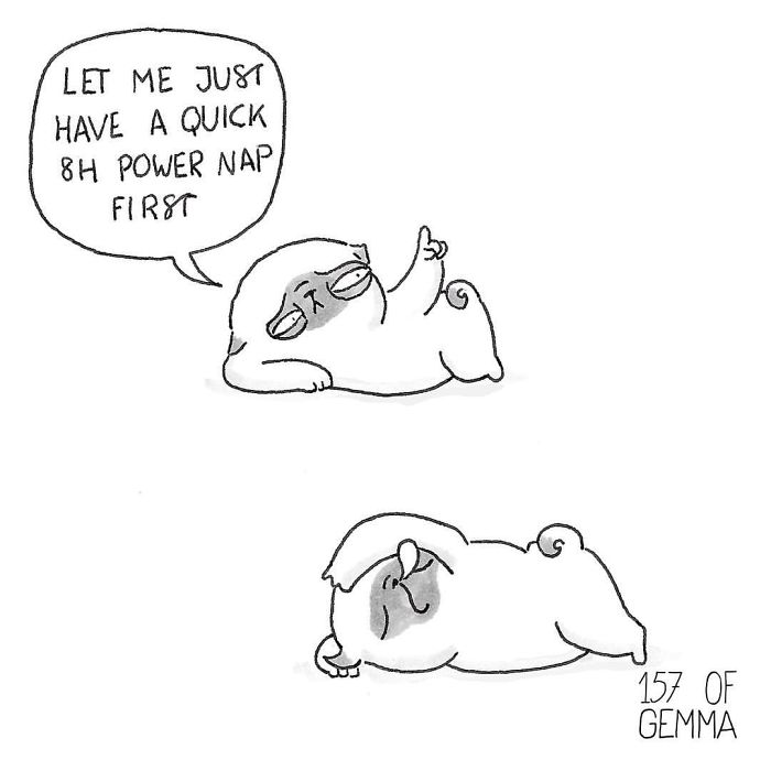 What It&#8217;s Like To Live With A Pug In 40 Pics