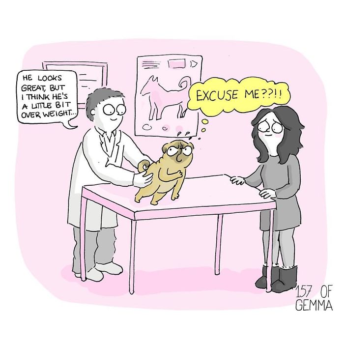 What It&#8217;s Like To Live With A Pug In 40 Pics