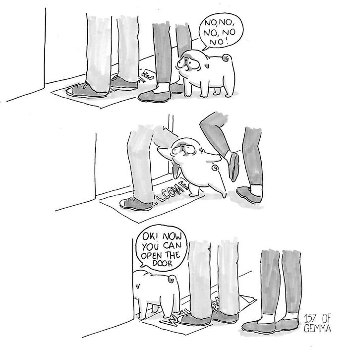 What It&#8217;s Like To Live With A Pug In 40 Pics