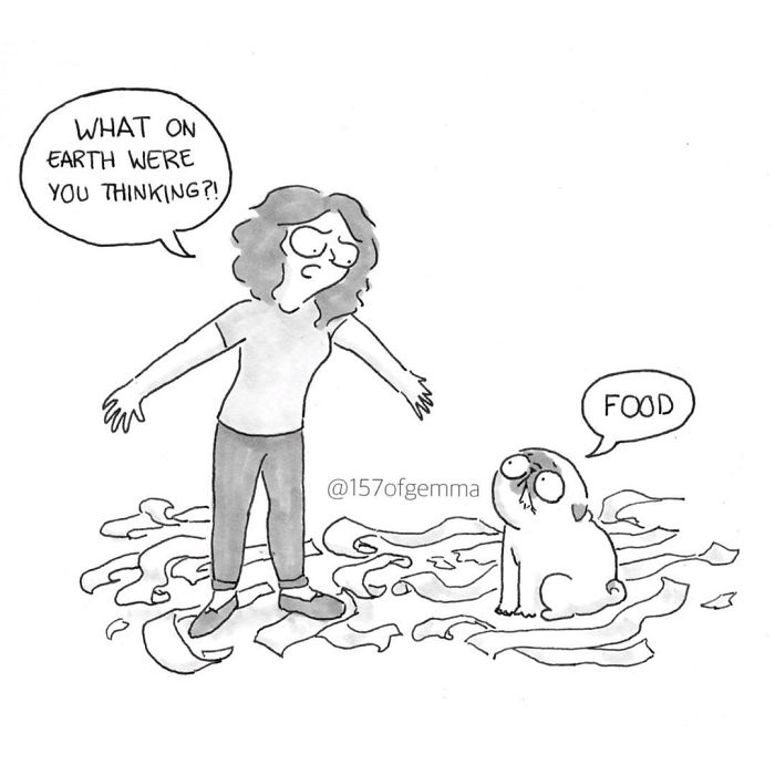 What It&#8217;s Like To Live With A Pug In 40 Pics