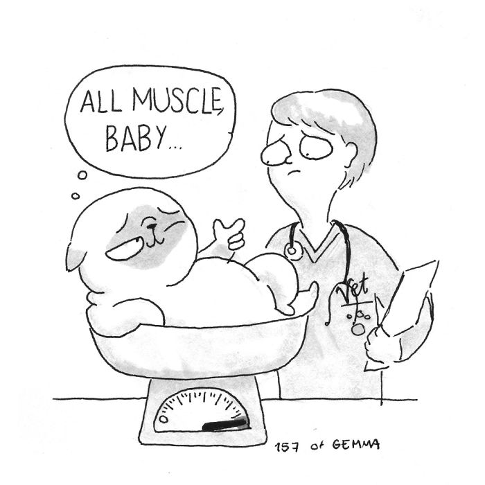 What It&#8217;s Like To Live With A Pug In 40 Pics