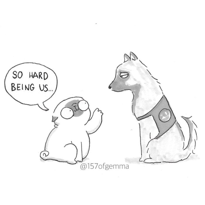 What It&#8217;s Like To Live With A Pug In 40 Pics