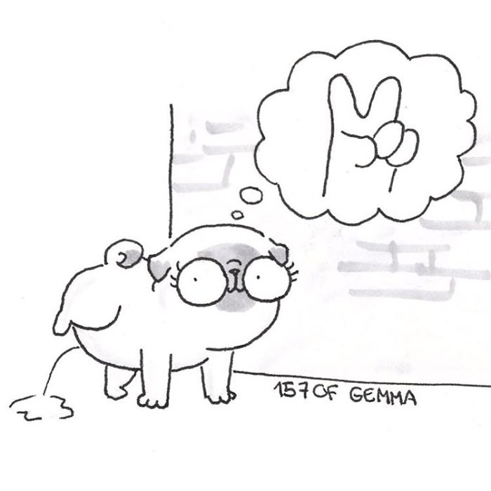 What It&#8217;s Like To Live With A Pug In 40 Pics