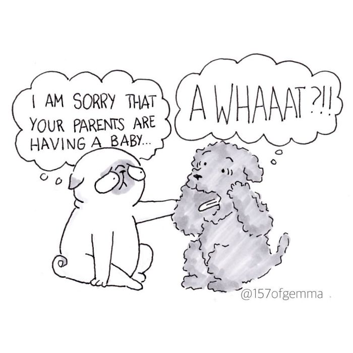 What It&#8217;s Like To Live With A Pug In 40 Pics