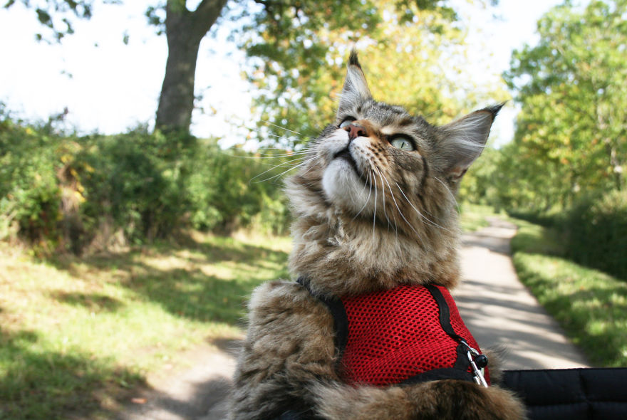 My 6-Year-Old With Autism Creates Stunning Art And Angelina Jolie Just Bought Her Painting!