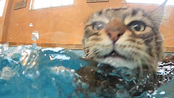 My 6-Year-Old With Autism Creates Stunning Art And Angelina Jolie Just Bought Her Painting!