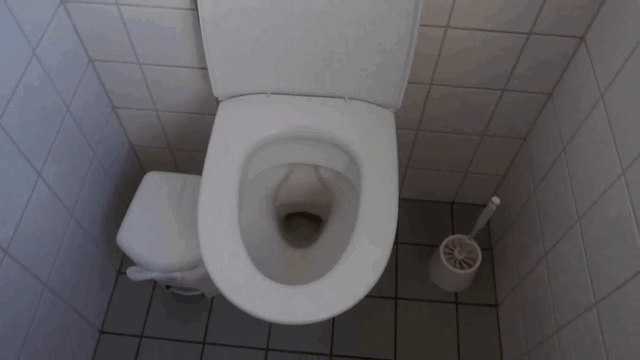 People Post Toilet Views From Around The World To Show Where They Pee And Poo